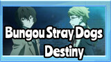 [Bungou Stray Dogs/MAD/Epic] Destiny