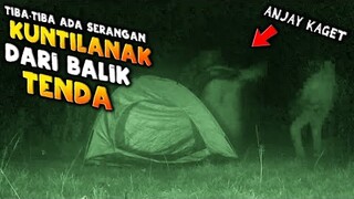 🔴 883- SERANGAN KUNTILANAK DARI BALIK TENDA | ADU NYALI BANG HADI