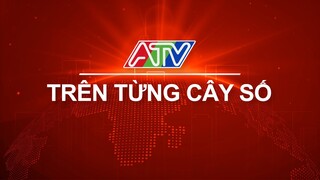 Trên từng cây số 3-11-2021 | ATV Tin tức