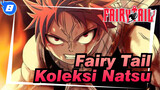 Fairy Tail|Koleksi Kombat Klasik Personal Natsu!_WB8