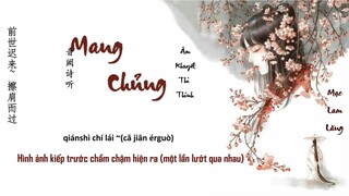 [Vietsub+Pinyin] Mang chủng-Âm Khuyết Thi Thính/芒种 音阙诗听- Nhạc nền video Trần Tình Lệnh hot tik tok