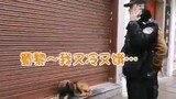 Seekor anjing liar ditemukan oleh polisi dan berubah menjadi anjing polisi!
