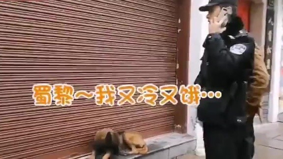 A stray dog was spotted by the police and turned into a police dog!