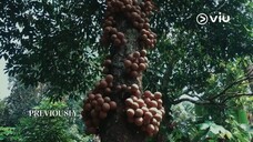 03 - Secret Ingredients Tagalog Dubbed