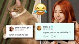 le sserafim's yunjin funny unserious replies with fans on weverse