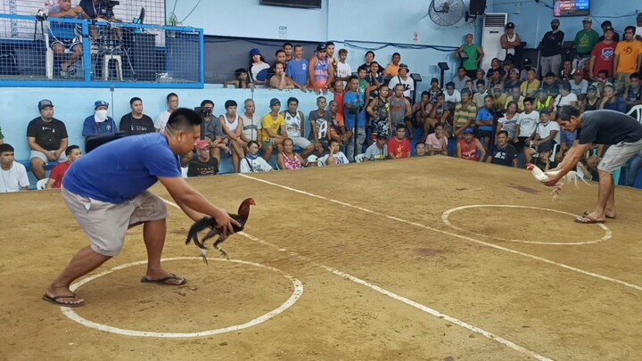 Manok ni Boss Dande (San mateo cockpit)