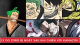 Phân tích One Piece chap 938 - Lý do Zoro bị ngất sau khi đấu với Kamazou || Truyện Tổng Hợp
