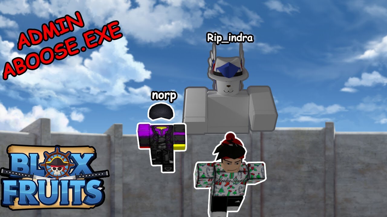 BLOX FRUITS #13, ROBLOX