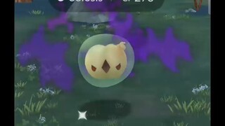 Pokémon GO-Shadow Solosis