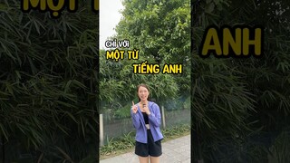 Tiếng Anh không khó check #khanhvy #hoctienganh #english