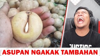 BUAH AMBIGU