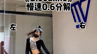 twice最新练习室 《bloodline》分解
