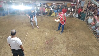 bakla vs lasak