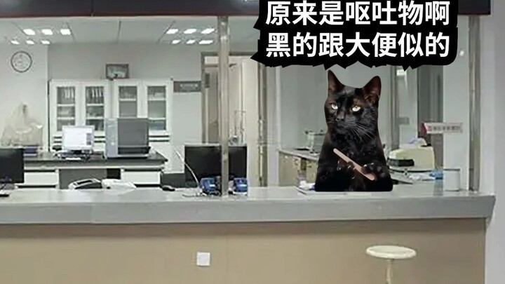 【Meme kucing】Shift malam di sudut gelap laboratorium