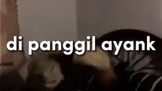 di panggil ayang