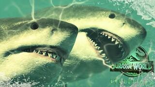 A Fearsome MEGALODON Couple Emerges! - Jurassic World Evolution 2 [4K]