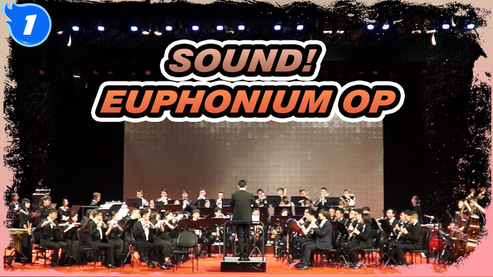 [Sound! Euphonium] OP Dream Solister Symphony Concert Video 10_A1
