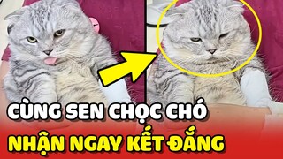 Sen cùng Hoàng Thượng làm trò "CHỌC CHÓ" và cái kết ĐẮNG LÒNG 😂 | Yêu Lu