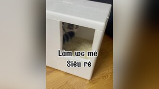 Tui vứt cái Petkit cho vừa lòng Sáng 😂😂😂 mèo cat