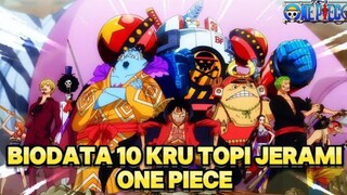 Inilah Biodata 10 Kru Topi Jerami One Piece