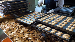 / confectionery factory making peanut snacks