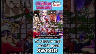 Tổ chức bí mật Sword #onepiece #shorts