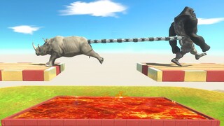 Tug of War Primates vs Mammals Over Lava Pool - Animal Revolt Battle Simulator