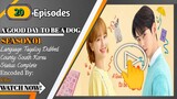 A Good Day To Be a Dog episode 20 Tagalog Dubbed