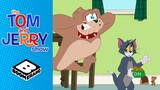 Where's Our Food? | Tom & Jerry Show | Boomerang UK