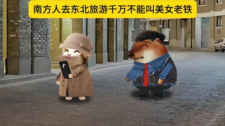 南方人去东北千万不能叫美女老铁