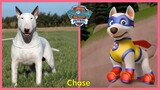 Paw Patrol - Những chú chó cứu hộ ngoài đời thật | Paw Patrol Characters In Real Life 2021