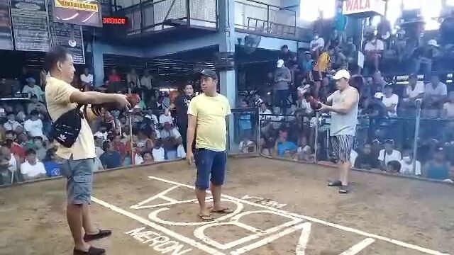 champion again 2hits
