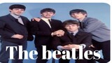 Music Video(The Beatles Marathon)