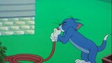 (Hewan Hantu) [Tom and Jerry & Dancing Thread] Tikus Gurun