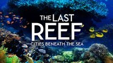 The.Last.Reef.3D.2012.1080p