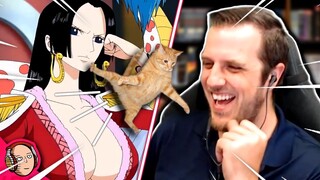 Boa Hancock kicked a cat, but more One Piece is coming so it's okay