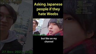 Asking Japanese People if they hate WEEBS