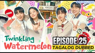 Twinkling Watermelon Episode 25 Tagalog