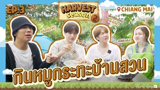 [OFFICIAL] THE HARVEST SEASON EP.3  @Chiangmai