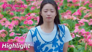 Highlight EP10 Ternyata dia tahu segalanya | The Forbidden Flower | WeTV【INDO SUB】