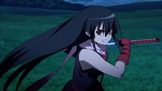 Akame vs Ibara | Akame Ga Kill! (Eng Dub)