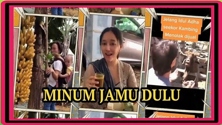 MINUM JAMU DULU KUMPULAN VIDEO LUCU NGAKAK RECEH MEME TERBARU 2021
