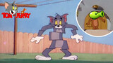 What if you open Tom and Jerry in Plants vs. Zombies's way (Ⅰ)