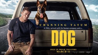 Dog (2022) [1080p]