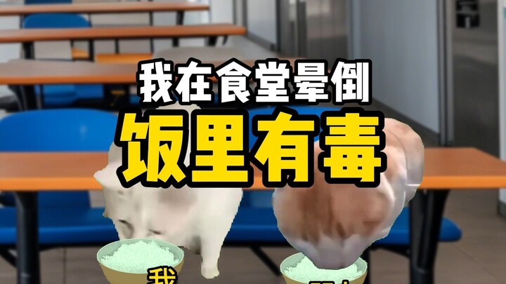 【原创猫meme】我在食堂突然晕倒