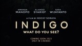 INDIGO (2023)