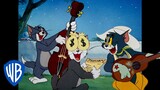 Tom und Jerry auf Deutsch 🇩🇪 | Die 10 besten Katzenmomente von Tom 🐱 | @WBKidsDeutschland​
