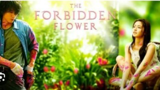 THE FORBIDDEN FLOWER Episode 2 Tagalog Dubbed