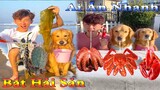 Thú Cưng TV | Dương KC Pets | Gia Đình Gâu Đần #13 | Chó thông minh vui | nhộn funny cute smart dog
