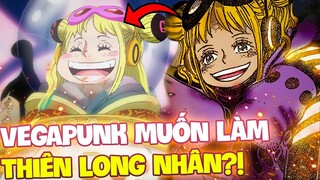 VEGAPUNK TỪNG MUỐN TRỞ THÀNH THIÊN LONG NHÂN?! | YORK TIẾT LỘ MỤC ĐÍCH Ở CHAP 1078